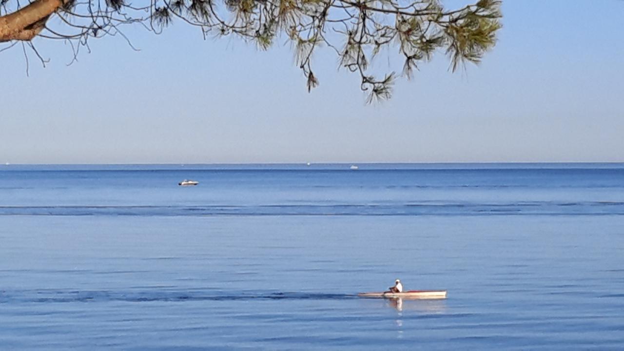Appart Bleu Azur Saint-Florent  Extérieur photo